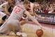 Random_key_27880_file_4392328_wisconsin_v_ohio_st_medium