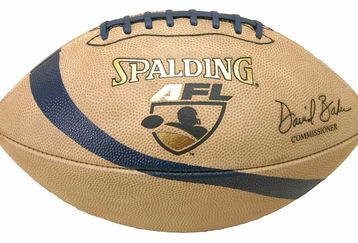 Random_key_95058_file_arena04balllg_feature