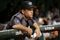 Random_key_10956_file_gibbons