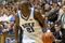 Random_key_45776_file_nelson
