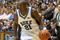 Random_key_53670_file_nelson