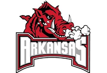 Random_key_57814_file_arkansas_feature