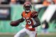 Random_key_880_file_johnson