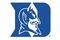 Random_key_68632_file_duke_small