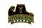 Random_key_15653_file_baylor_small