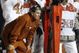 Random_key_98704_file_brown