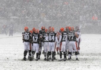 2010004_bills_v_browns_crop_340x234
