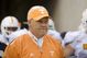 Fulmer