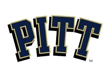 Pitt_crop_340x234