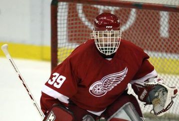 Hasek_feature