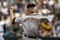 20200969_giants_v_rockies_small