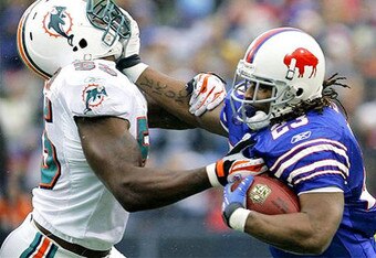 Dolphins_crop_340x234