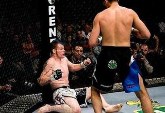 Ufc_crop_340x234