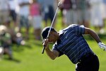 39679923_palmer_invitational_crop_150x100
