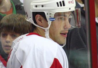 Datsyuk_1_crop_340x234
