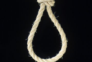 8603noose_feature