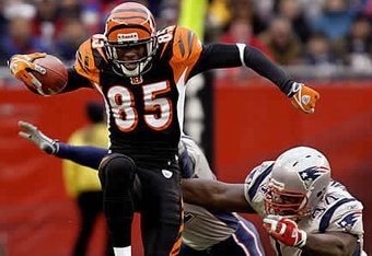 Ap-pats-bengals-chad-johnson-leaps-over-patriots_7579083_jpg_5b1_5d_crop_340x234
