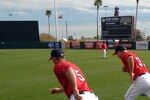 50631996_cubs_v_angels_crop_150x100
