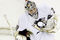 78976799_penguins_v_devils_small