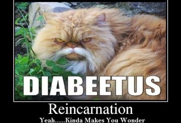 Diabeetus_feature