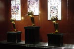 Spurs_crop_150x100