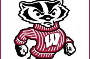 Wisconsin_badgers_80306_crop_310x205