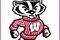 Wisconsin_badgers_80306_small