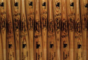 Bats_crop_340x234