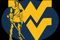 Westvirginiamountaineers2_small