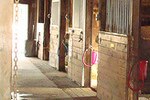 Horsestalls_crop_150x100