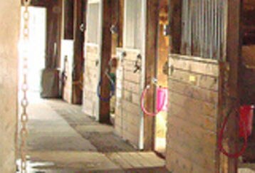 Horsestalls_feature