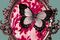 6a00e5501501cd883300e551d0b0478_small