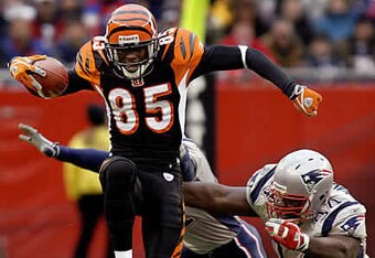 Ap-pats-bengals-chad-johnson-le_crop_340x234