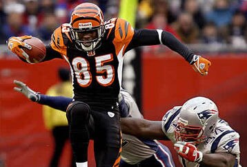 Ap-pats-bengals-chad-johnson-le_feature