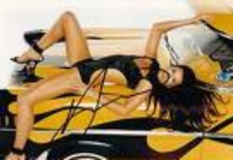 Danica_hood_ornament_crop_340x234