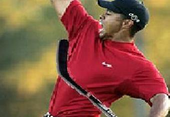 Tiger_hockey_crop_340x234