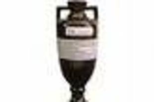 Ashes_crop_310x205