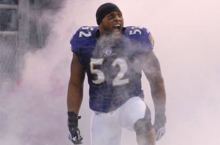 Baltimore_ravens_crop_310x205
