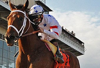 Bigbrown_crop_340x234