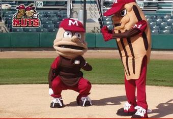 Nuts_crop_340x234