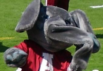 Big_al_crop_340x234