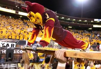 Sparky1_crop_340x234