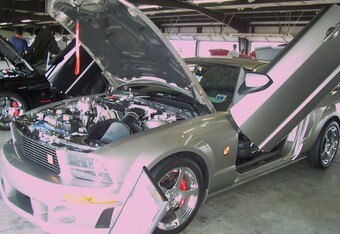 Super_stang_fest_6-14-08_017_crop_340x234