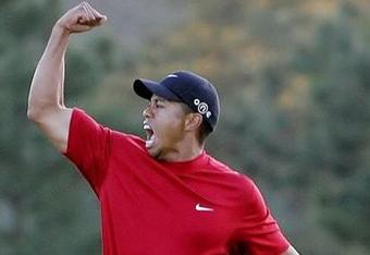 Tigerwoods_crop_340x234