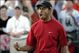 Tiger-woods-masters-shot-nike_medium
