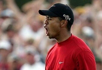 Tiger_pump300_crop_340x234