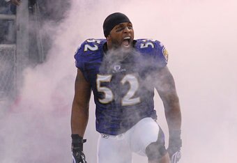 Baltimore_ravens_crop_340x234