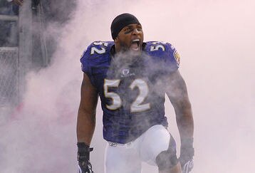 Baltimore_ravens_feature