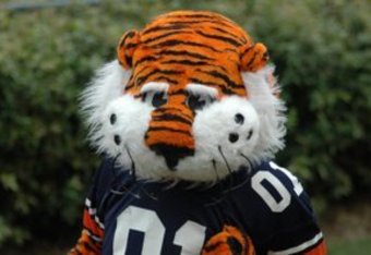 Aubie_crop_340x234