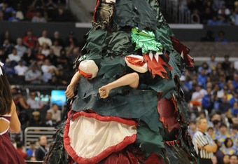 00732836_pac_10_mascots_crop_340x234